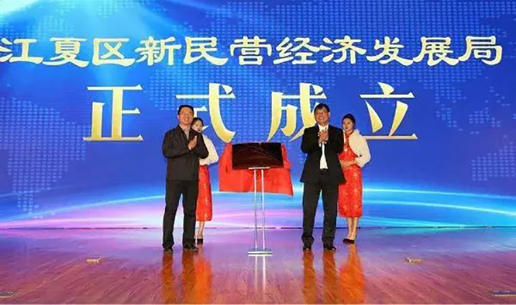 江夏區(qū)新民營經(jīng)濟(jì)發(fā)展大會(huì)03.jpg